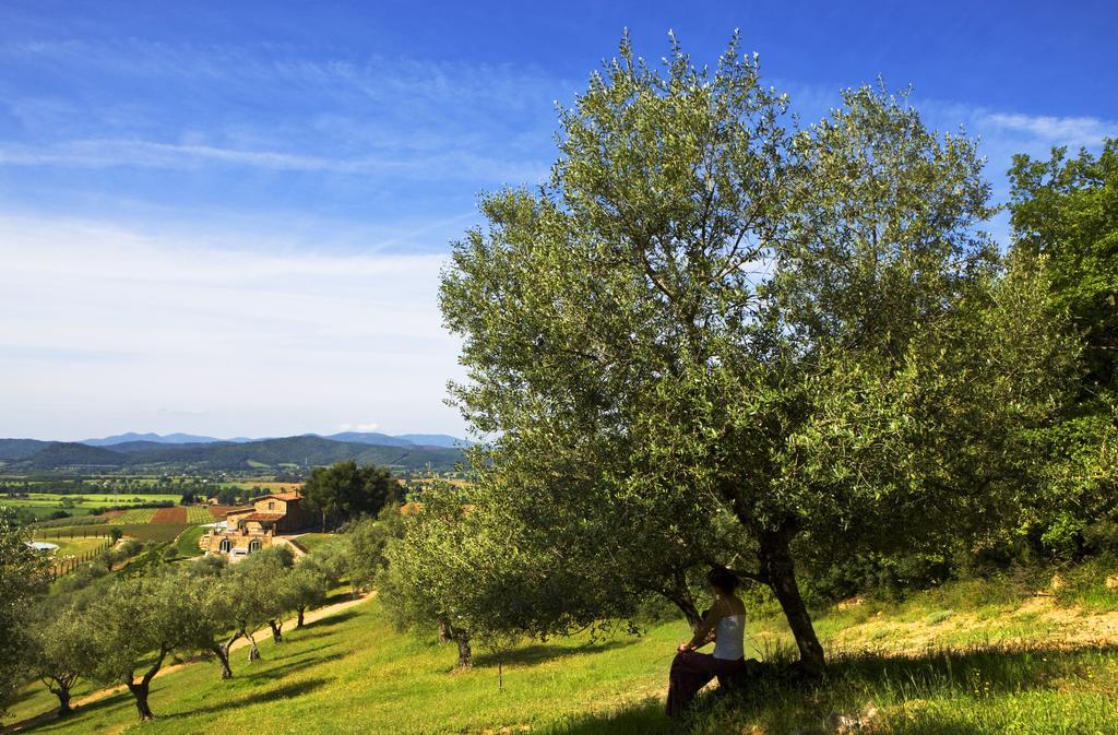 Wine Resort Conti Di San Bonifacio Montemassi Ngoại thất bức ảnh