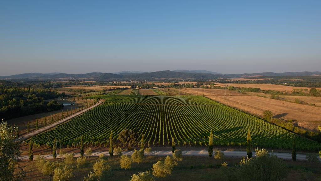 Wine Resort Conti Di San Bonifacio Montemassi Ngoại thất bức ảnh