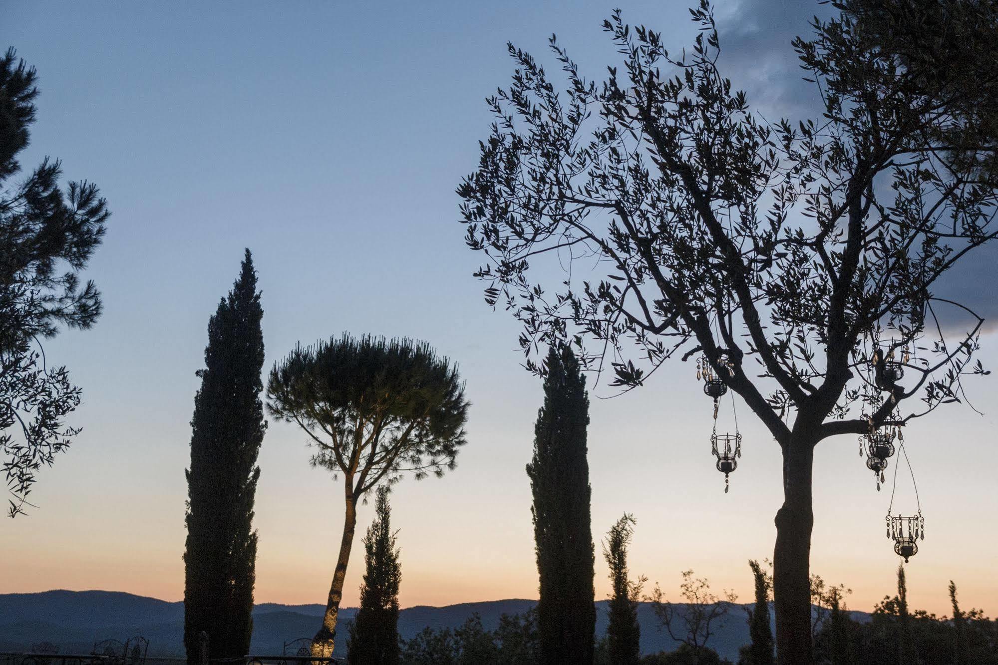 Wine Resort Conti Di San Bonifacio Montemassi Ngoại thất bức ảnh